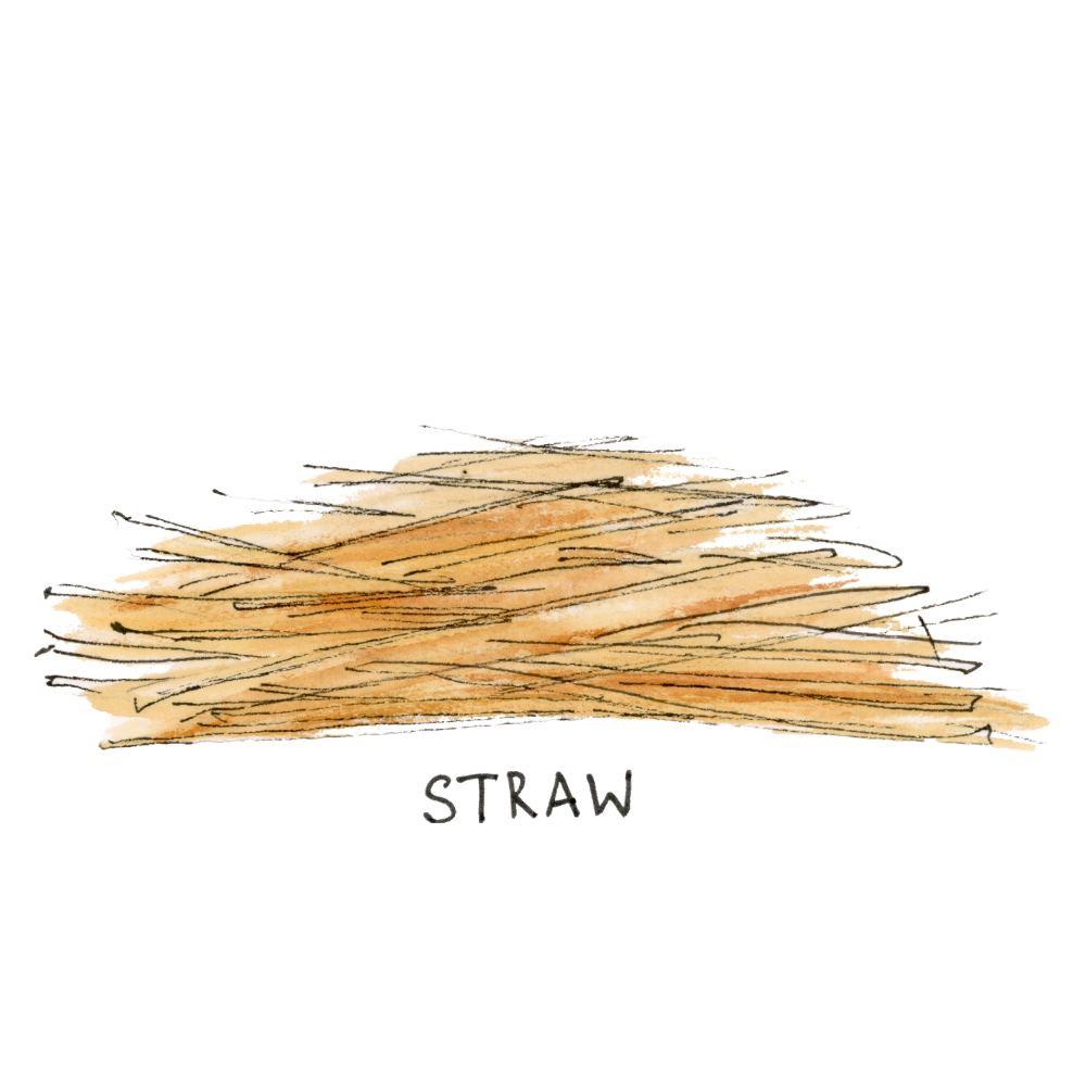 Straw